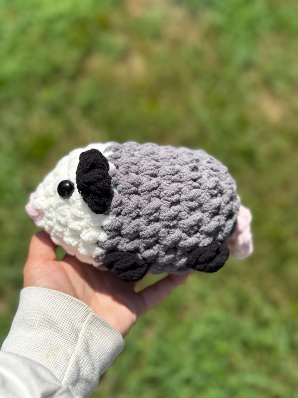 Chunky Possum