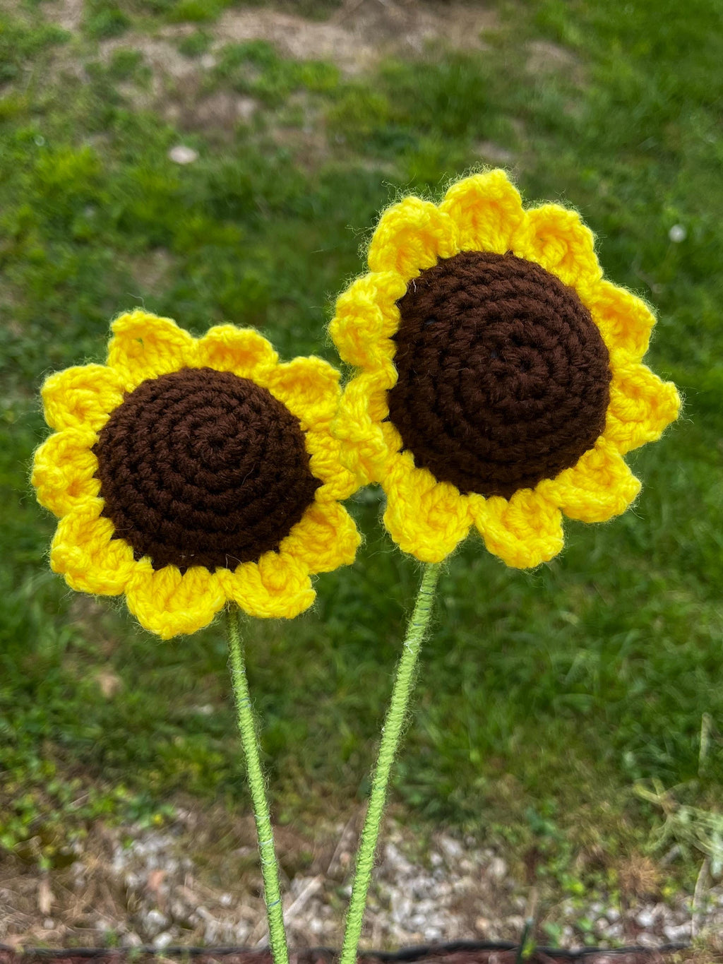 Sunny Sunflower