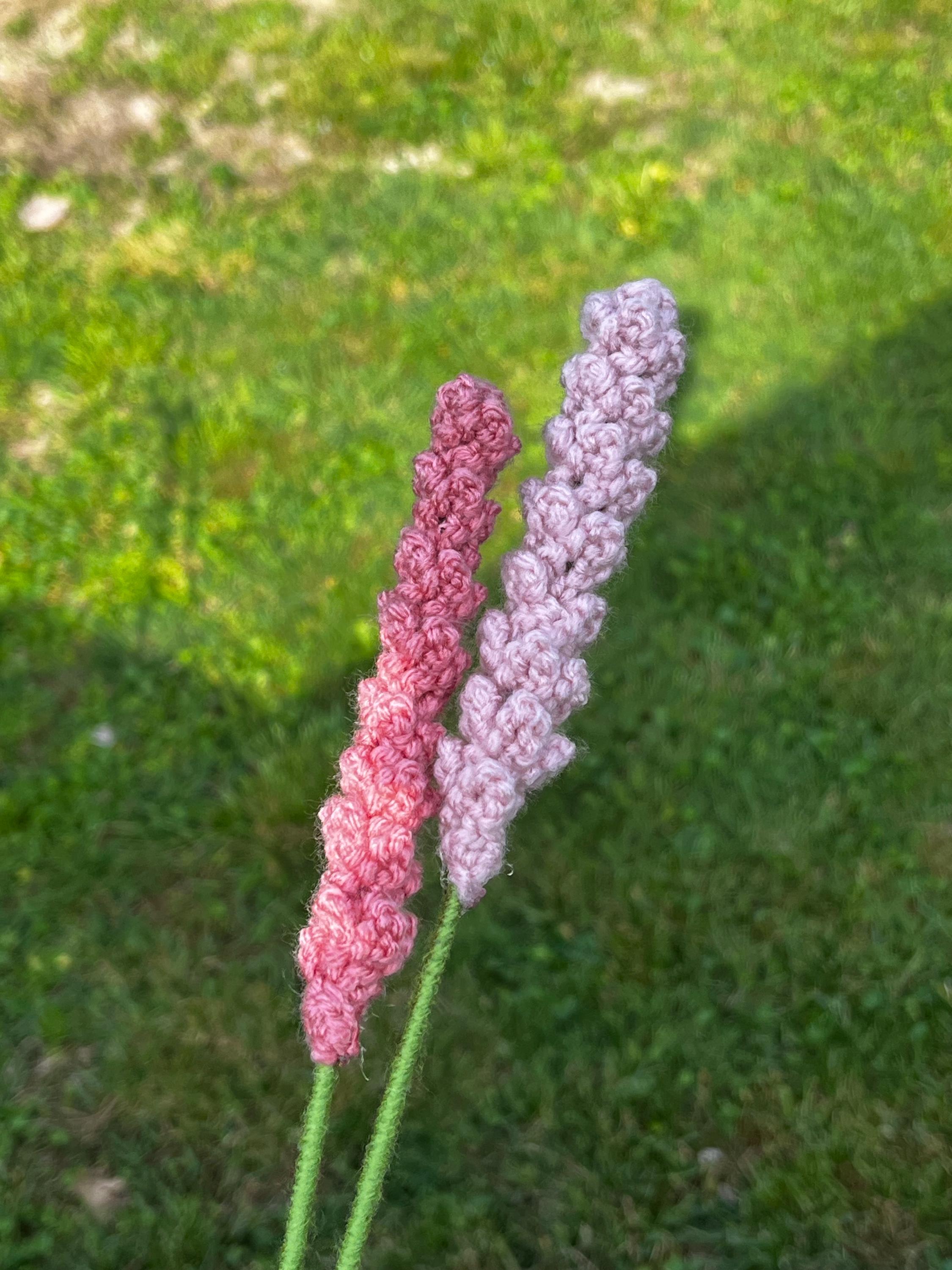 Lavish Lavender