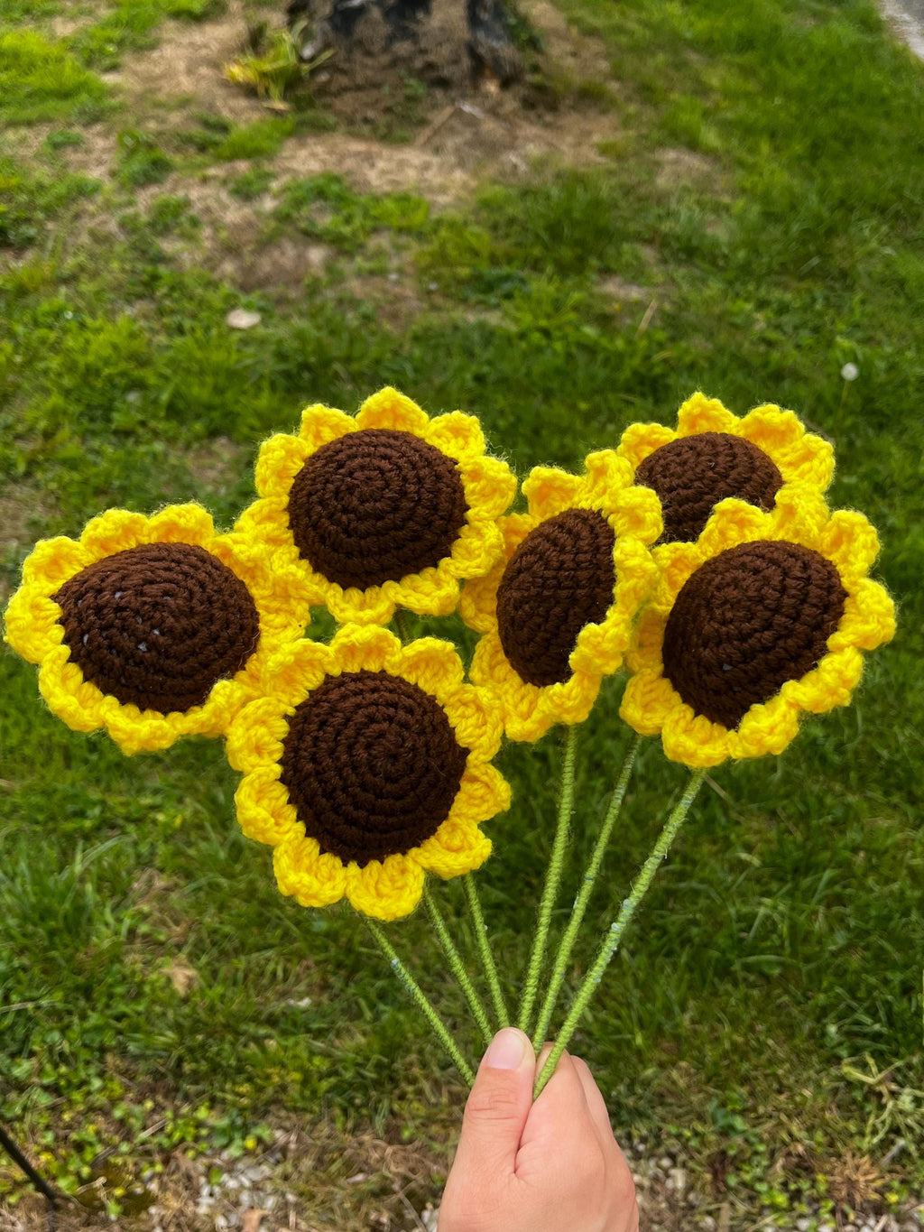Sunny Sunflower