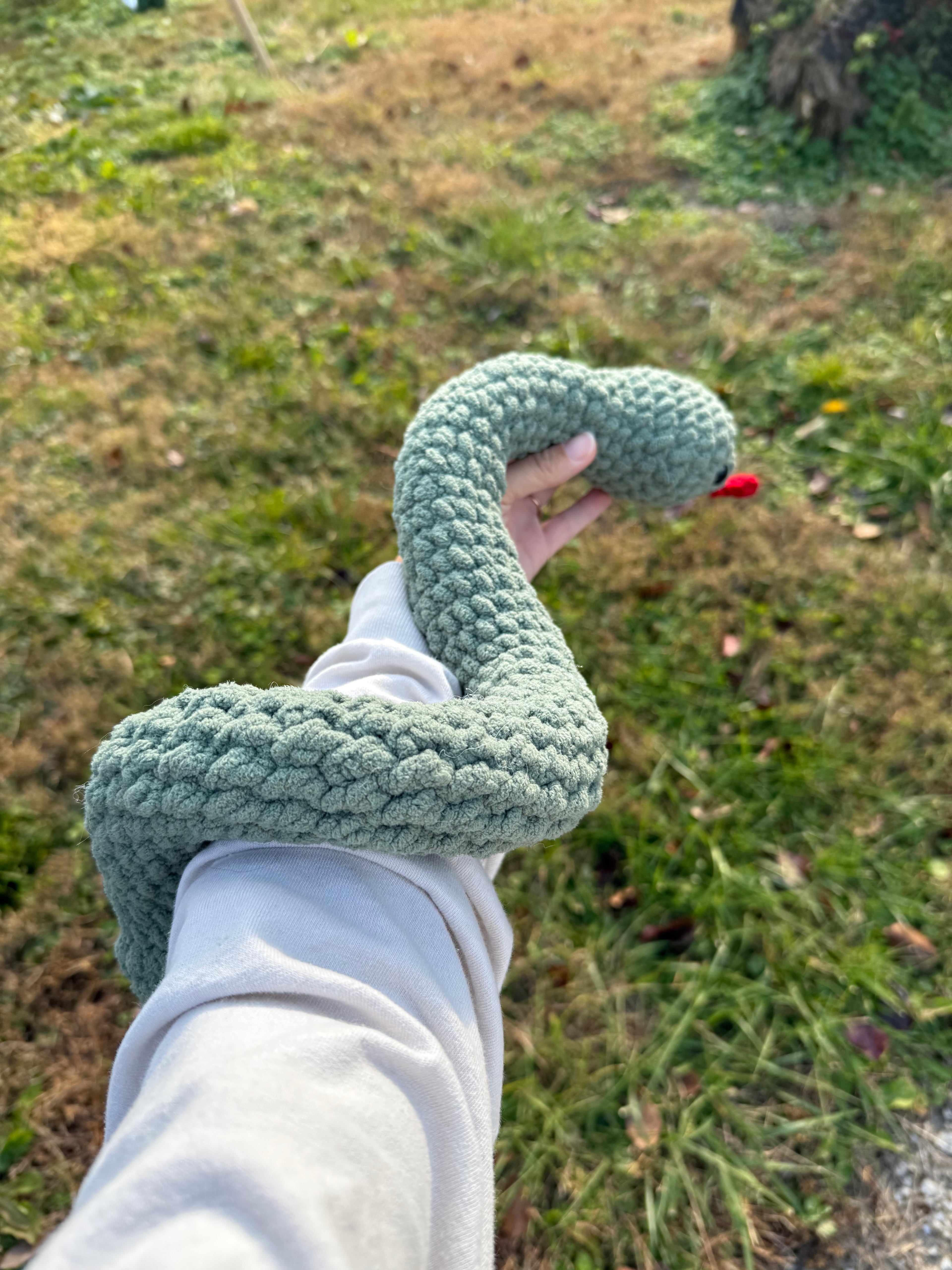 Jumbo Snake