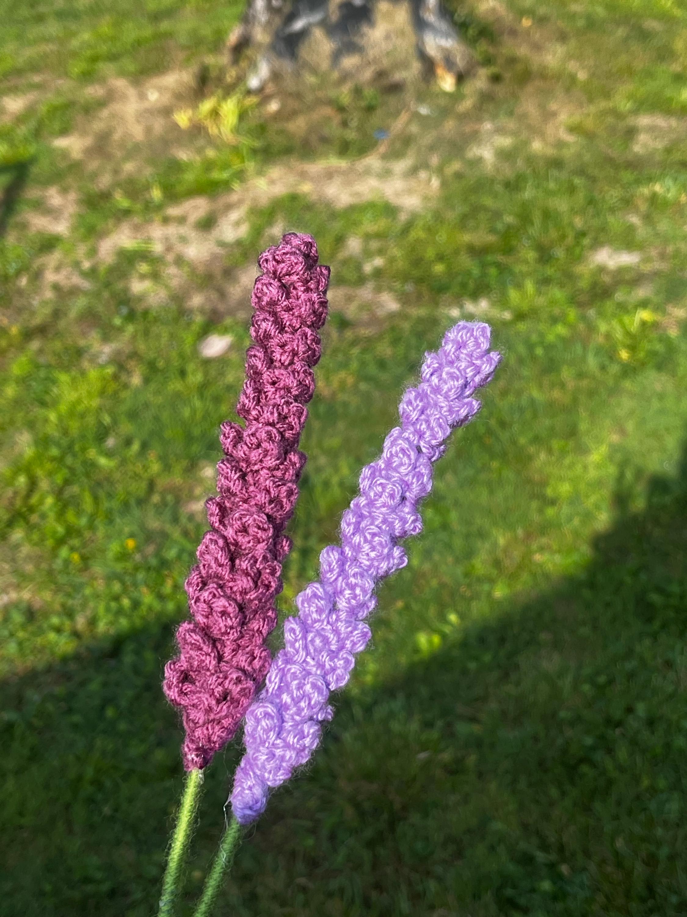 Lavish Lavender