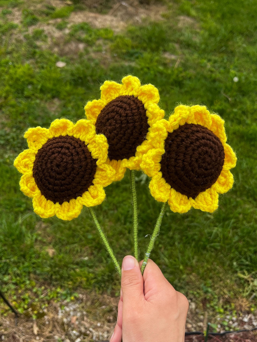 Sunny Sunflower